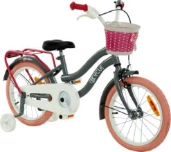 2Cycle Pretty Meisjesfiets - 16 Inch - Grijs-Roze - Meisjesfiets -Fietsenwinkel 1200x1062 2