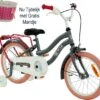 2Cycle Pretty Meisjesfiets - 16 Inch - Grijs-Roze - Meisjesfiets 2 2Cycle Pretty Meisjesfiets - 16 Inch - Grijs-Roze - Meisjesfiets -Fietsenwinkel 1200x1063