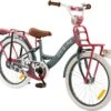2Cycle Desire Kinderfiets - 20 Inch - Voordrager -Grijs-Roze - Meisjesfiets -Fietsenwinkel 1200x1113
