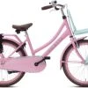 Valetta Cargo - Transportfiets - Meisjesfiets - 22 Inch - Mint Roze -Fietsenwinkel 1200x801 3