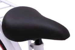 Amigo Sweetheart Meisjesfiets - Kinderfiets 20 Inch - Wit -Fietsenwinkel 1200x813