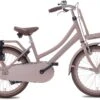 Valetta Cargo - Transportfiets - Meisjesfiets - 20 Inch - Mat Flamingo -Fietsenwinkel 1200x821 1