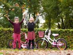 Amigo Flower Meisjesfiets - Kinderfiets 18 Inch - Wit -Fietsenwinkel 1200x917 13