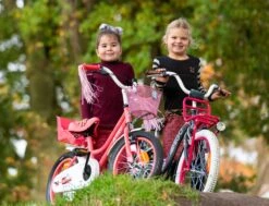 Amigo Magic Meisjesfiets - Kinderfiets 12 Inch - Wit -Fietsenwinkel 1200x917 18