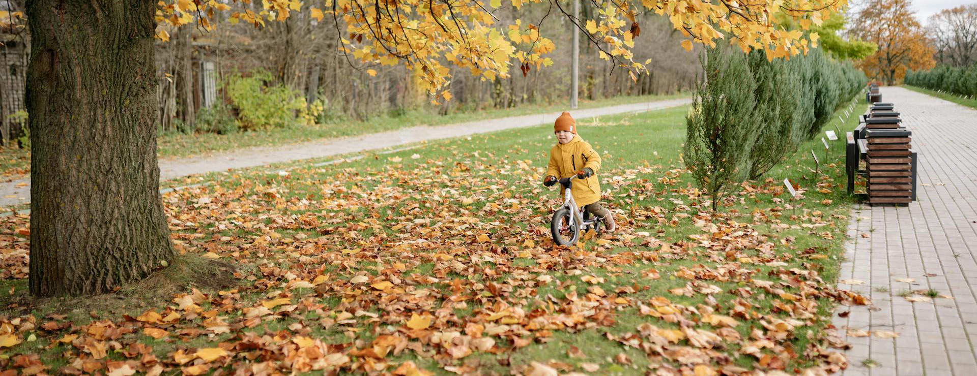 Fietsenwinkel -Fietsenwinkel pexels yankrukov 6209901